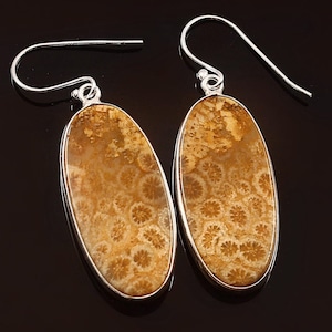 Korallenohrringe, Fossile Korallenohrringe, versteinerte Korallenohrringe, ovale Korallenohrringe Baumeln Ohrringe, natürliche Korallenohrringe