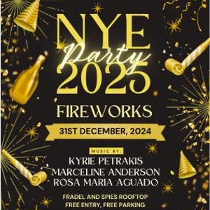 Editable New Years Eve Flyer | Party Flyer, NYE Flyer, Hosting Flyer, Party Hosting Flyer, Happy New Year Flyer