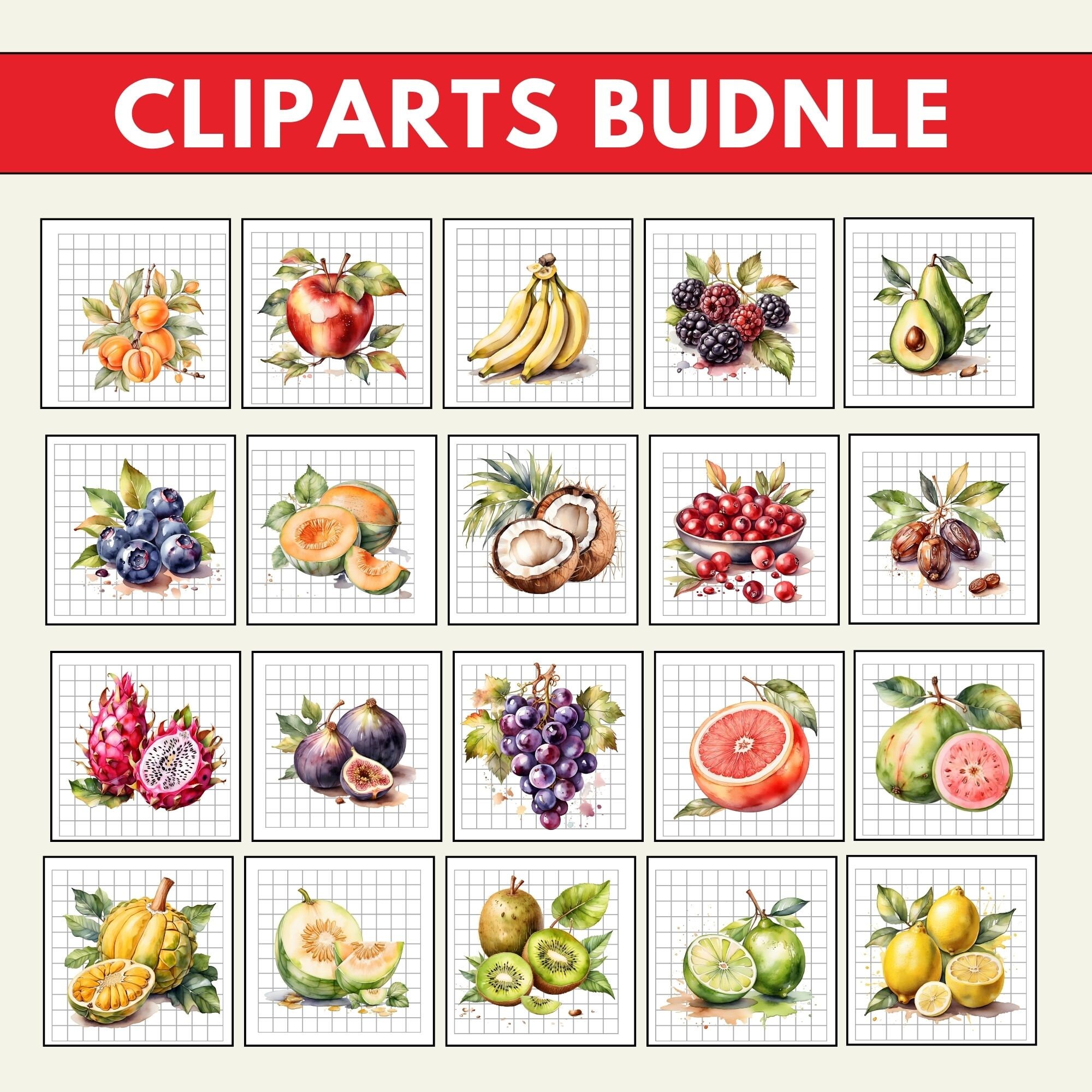 Fruits Clipart, Food Clipart PNG Bundle, 24 PNG Fruits Clipart Bundle ...