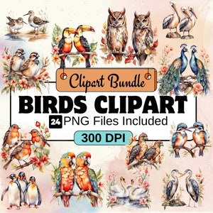 Bird Clipart, Animal Clipart PNG Bundle, 24 PNG  Bird Clipart Bundle, Instant Digital Download, Commercial Use