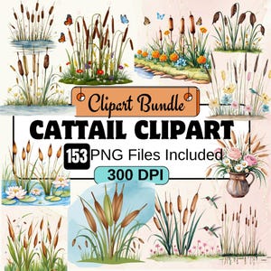 Ensemble de 153 cliparts quenouilles, téléchargement numérique, roseau des marais Png, lot de cliparts d'herbes sauvages, journal de bordel de scrapbooking, quenouille aquarelle