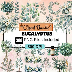 300 Eucalyptus Clipart,Watercolor Eucalyptus Clipart PNG Bundle,Eucalyptus Border,Eucalyptus png,foliage clipart,green leaves png,leaf png