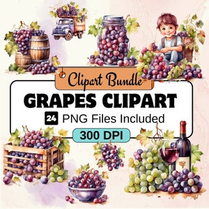 Trauben Aquarell Clipart, Aquarell Früchte, Trauben, süße Köstlichkeiten, PNG, 24 Trauben Clipart Bundle, sofortiger digitaler Download, kommerzielle Nutzung