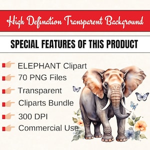 Clipart de elefante, pacote de clipart de animal PNG, 70 pacote de clipart de elefante PNG, download digital instantâneo, uso comercial