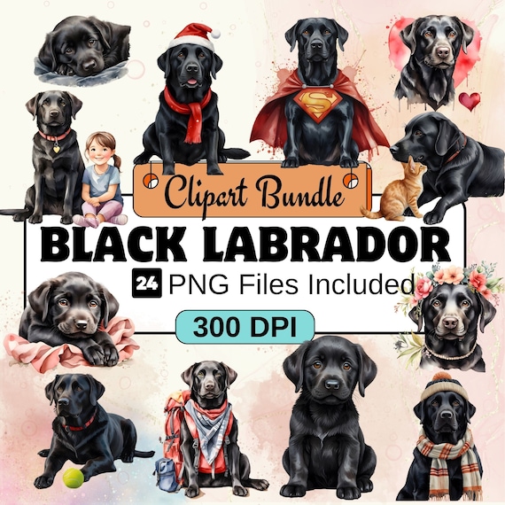 Black Labrador Clipart, Dog Clipart PNG Bundle,24 PNG Black Labrador Clipart Bundle, Instant Digital Download, Commercial Use