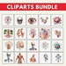 Human Body Clipart, Body Clipart PNG Bundle, 118 PNG Human Body Clipart ...