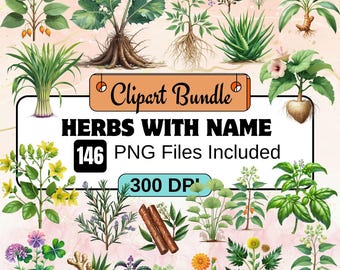 146Medicinal Herbs with name Clipart,Watercolor herbs PNG Bundle,Medicinal Plants,Ferns sublimation,Plants png graphics,Herbal plant graphic