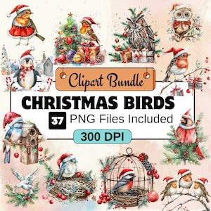Clipart oiseaux de Noël, Noël Clipart PNG Bundle, 35 PNG Noël oiseaux Clipart Bundle, téléchargement immédiat, usage Commercial