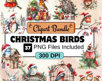 Christmas Birds Clipart, Christmas Clipart PNG Bundle, 35 PNG Christmas Birds Clipart Bundle, Instant Digital Download, Commercial Use
