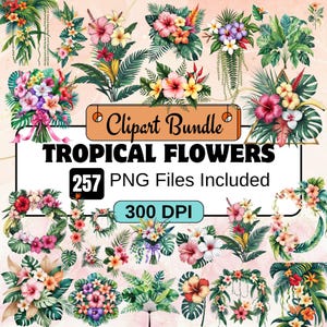 257 Tropical flower Clipart,hawaiian luau PNG Bundle,Watercolor Tropical Luau Clipart,Hibiscus, Hawaiian Plants Clip Art,Hawaii Hibiscus png