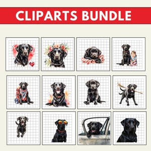 labrador retriever clipart, black labrador svg, black labrador, labrador watercolor clipart, watercolor clipart labrador, black labrador svg, black labrador sticker,