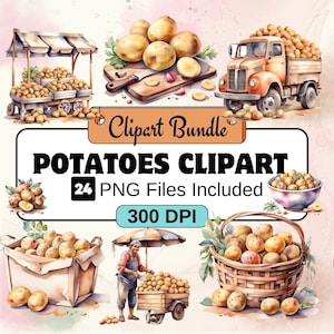 Imágenes prediseñadas de patatas, paquete PNG de imágenes prediseñadas de patatas, paquete de imágenes prediseñadas de 24 verduras PNG, descarga digital instantánea, uso comercial