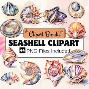 Seashell Clipart, Animal Clipart PNG Bundle, 44 PNG  Seashell Clipart Bundle, Instant Digital Download, Commercial Use