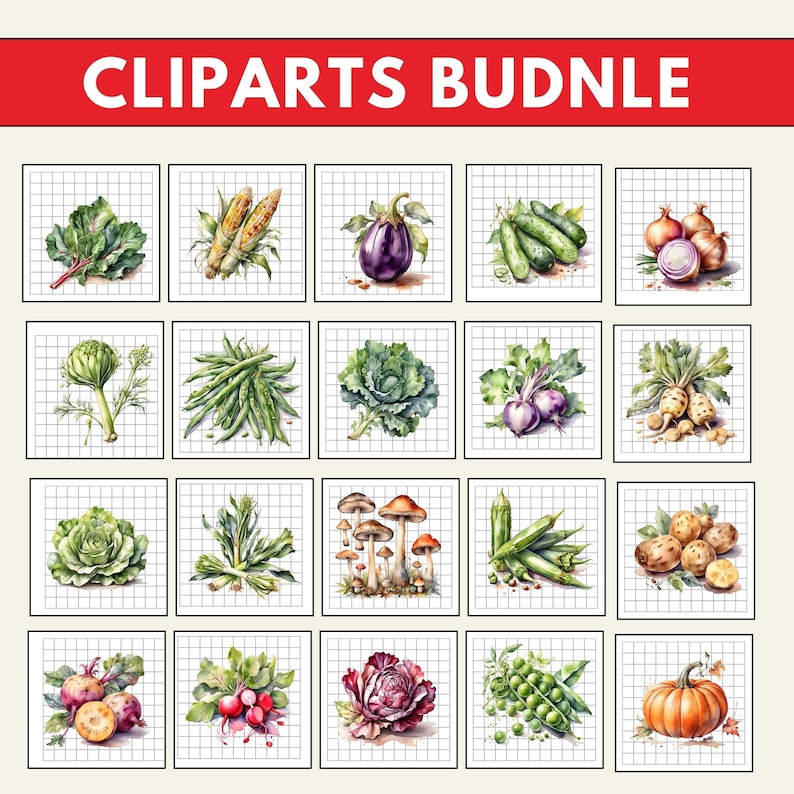 vegetable PNG, farmers market, clip art, healthy food, veggies, watercolor clipart, clipart bundle,
