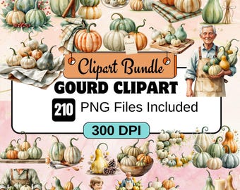 Gourd Clipart PNG Bundle | Fall Harvest Gourds Illustration | Autumn Pumpkin Gourd Graphics | Thanksgiving Decor | Transparent Background