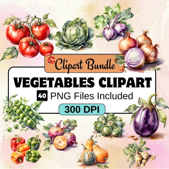 Vegetables clipart, Kitchen Clipart PNG Bundle, 24 PNG Vegetables clipart Bundle, Instant Digital Download, Commercial Use