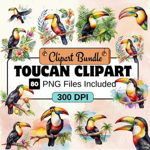 Toucan Clipart, Bird Clipart PNG Bundle, 80 PNG Toucan Clipart Bundle, Instant Digital Download, Commercial Use