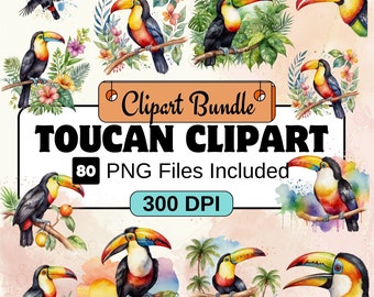 Toucan Clipart, Bird Clipart PNG Bundle, 80 PNG Toucan Clipart Bundle, Instant Digital Download, Commercial Use