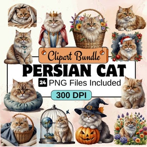 Persian Cat Clipart, Animal Clipart PNG Bundle, 24 PNG Persian Cat Clipart Bundle, Instant Digital Download, Commercial Use