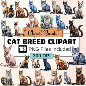 Cat Breed Clipart,Cat Clipart,Pet Animals Clipart,Watercolor Cat Graphics,Realistic Cat PNG,Cat graphics,kitty clipart,cat printables,kitten
