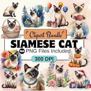 Clipart de gato siamês, pacote de clipart png pacote PNG, pacote de clipart de gato siamês 99 PNG, download digital instantâneo, uso comercial
