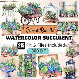 Clipart de suculentas aquarela, pacote de clipart botânico PNG, pacote de clipart de suculentas aquarela 215 PNG, download digital instantâneo, comercial