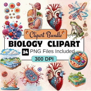 生物学クリップアート、研究クリップアート PNG バンドル、24 PNG 生物学クリップアート バンドル、即時デジタルダウンロード、商用利用
