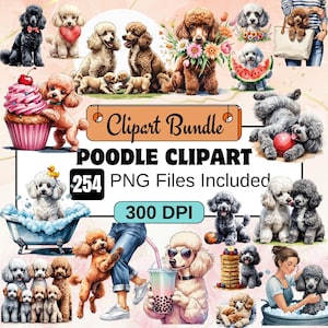 Puede incluir: Un paquete de imágenes prediseñadas digitales con ilustraciones de caniches. La imagen incluye múltiples caniches en diferentes poses y entornos, con el texto "Clip art Bundle", "Poodle Clipart", "254 PNG Files Included" y "300 DPI". Los caniches son de varios colores.