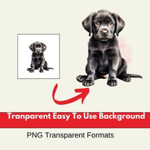 black labrador svg, black labrador, labrador watercolor clipart, watercolor clipart labrador, black labrador svg, black labrador sticker, Cute Dog clipart, clipart dog, cute dog,