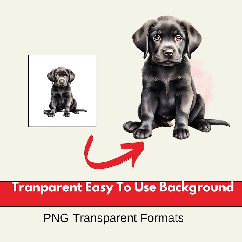 black labrador svg, black labrador, labrador watercolor clipart, watercolor clipart labrador, black labrador svg, black labrador sticker, Cute Dog clipart, clipart dog, cute dog,