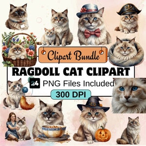 Ragdoll cat clipart Clipart, Cat Clipart PNG Bundle, 24 PNG Ragdoll cat clipart Clipart Bundle, Instant Digital Download, Commercial Use