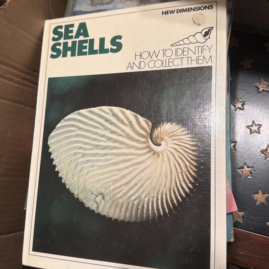 Sea Shells How to Identify and Collect Them Hardcover Golden Press 1972 ...