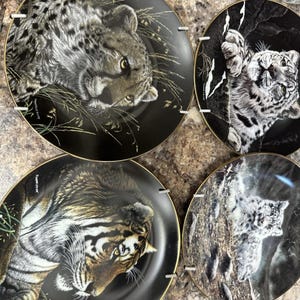Wild Cat Collector Plates, Multicolored Art (set of 4, Hamilton