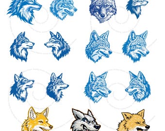 Coyote School Spirit Files