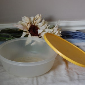 Vintage Steamer /Colander Bowl