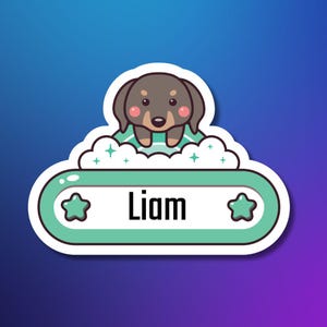 Custom Kids Name Labels, Waterproof Name Stickers for School, Personalized & Durable, Cute Daycare Name Tags, Fun Cartoon Name Labels