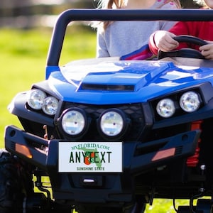 May include: A blue toy car with a black bumper and a Florida license plate that says "MYFLORIDA.COM ANYTEXT SUNSHINE STATE".