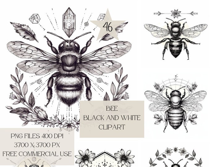 Honey Bee Line Art Clipart - Bees Clip Art and Collage Sheets for ...