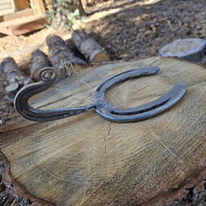 Horseshoe Hook