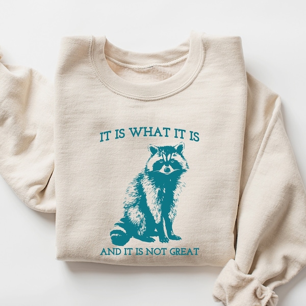 It Is What It Is And It Is Not Great Sweatshirt, Vintage Sweatshirt, Raccoon Sweatshirt, Mental Health Sweatshirt, Funny Sweatshirt Women