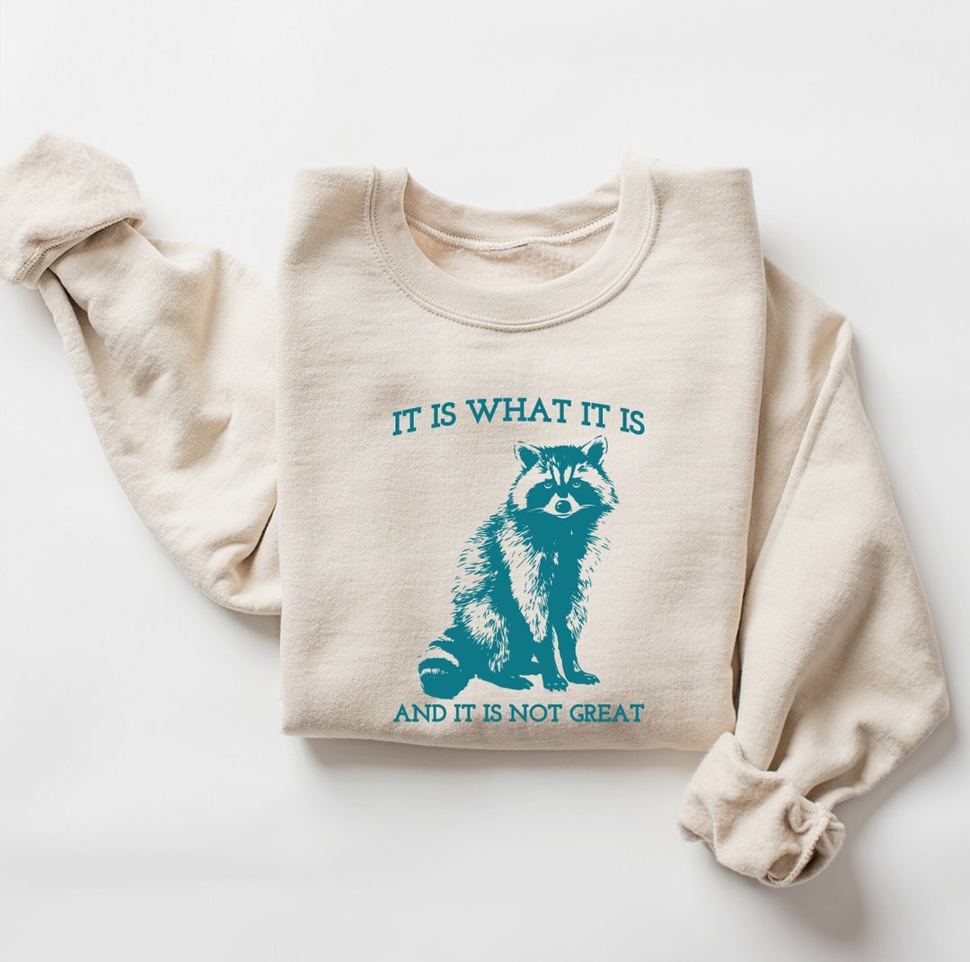 It Is What It Is And It Is Not Great Sweatshirt, Vintage Sweatshirt, Raccoon Sweatshirt, Mental Health Sweatshirt, Funny Sweatshirt Women