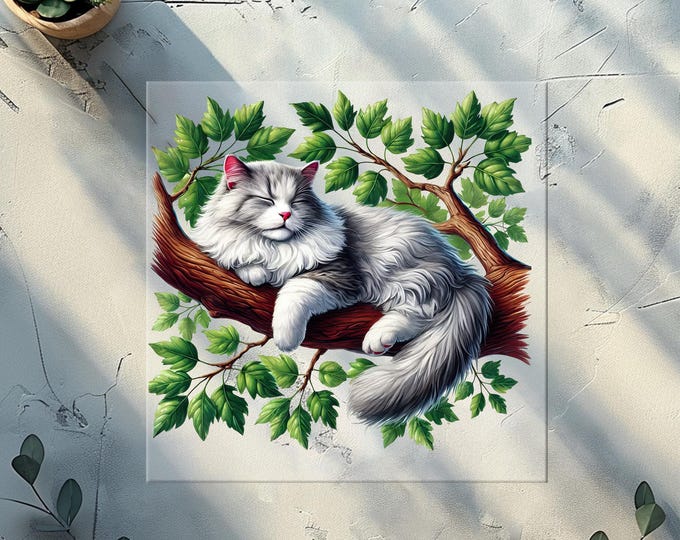 Cat Activities P1 DTF Transfer