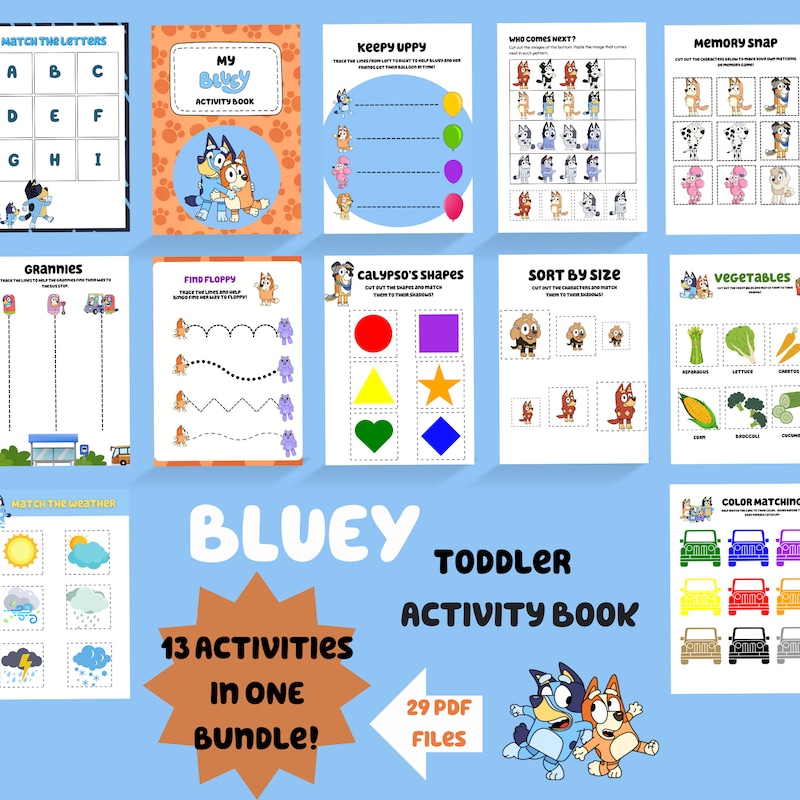 Bluey Books for Kids 3 5 - Etsy Australia