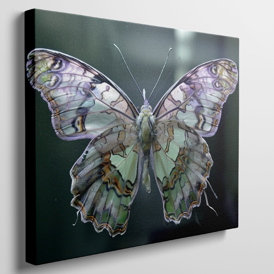 Ready to Hang Canvas Print of Vivid Butterfly, Nature-inspired Wall Art ...