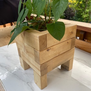 Indoor plant holder.  Wood, handcrafted SMALL