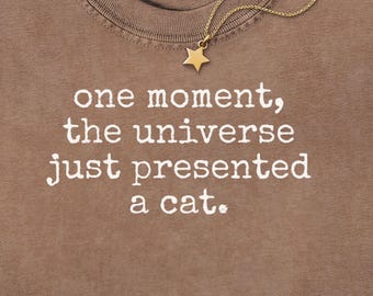 One Moment The Universe Just Presented A Cat Comfort Colors® Shirt, Cat Lover Gift, Pet Parent Humor, Feline Friend, Cat Person
