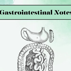 Gastrointestinal Notes for PA Student
