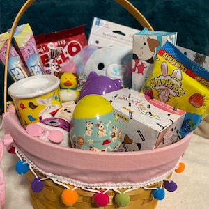 Nouveau panier de Pâques Squishmallows, chiens en peluche, cartes, œufs en bonbons Squishville