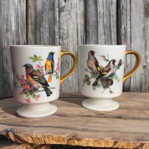 Vintage Set of 2 Ceramic Bird Mugs| Birds Design Ceramic Cups| Coffee Mug with Birds| Tea Mugs | Gift for Her Birthday Mother's Day