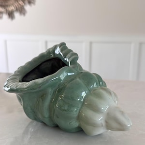 May include: A ceramic seashell-shaped planter in shades of green and white. The planter has a textured surface and a large opening. The design mimics a natural conch shell, suitable for coastal or nautical decor.